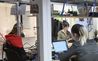 Reportaje en TVE «La Mañana» sobre TEAMLABS Barcelona y el Grado LEINN