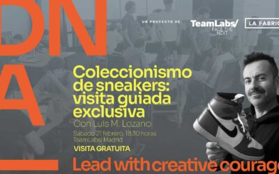 Coleccionismo de sneakers: visita guiada exclusiva