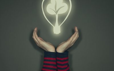 El momento de la economía creativa