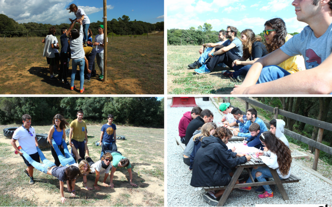 Forest and Back, una gran idea finlandesa