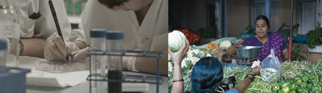 Base de la Pirámide: un modelo que combina la expansión de la empresa con la creación de un impacto social positivo