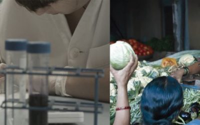 Base de la Pirámide: un modelo que combina la expansión de la empresa con la creación de un impacto social positivo